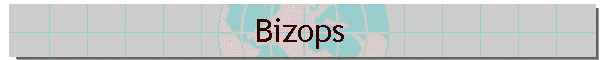Bizops