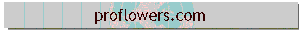 proflowers.com