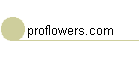 proflowers.com