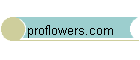 proflowers.com